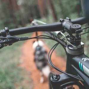 Non-Stop Dogwear Bike Antenna